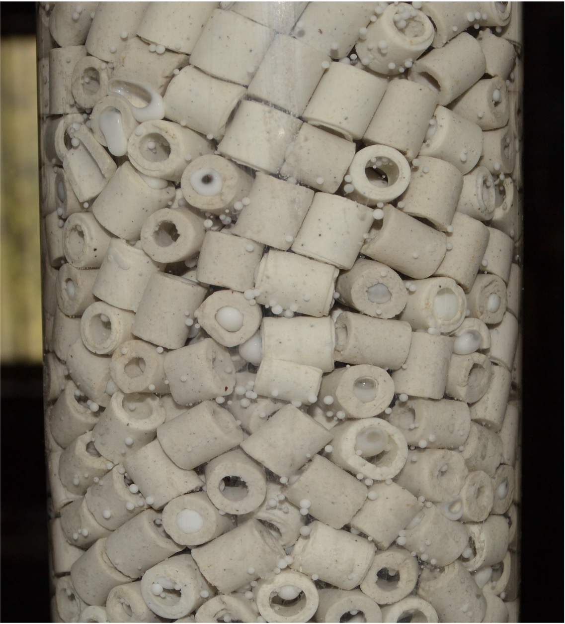 Pulsed Column - Photo 2